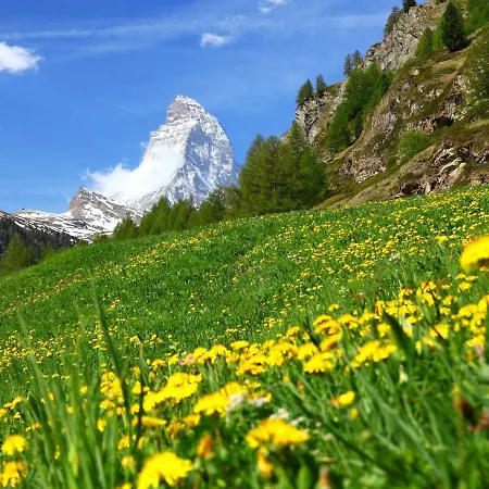 Imperial-5 By Interhome Zermatt